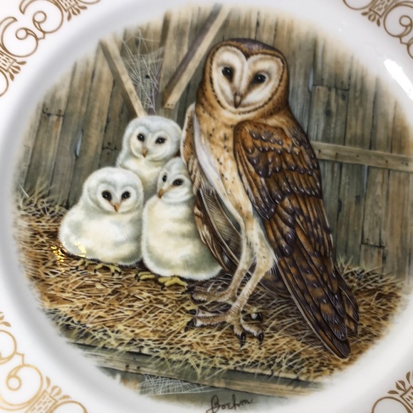OWL PLATE - Picture 2 of 4